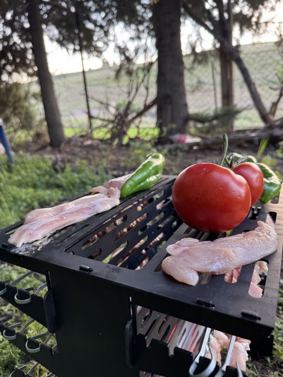 الشواية القابلة للطي +معاها صاك