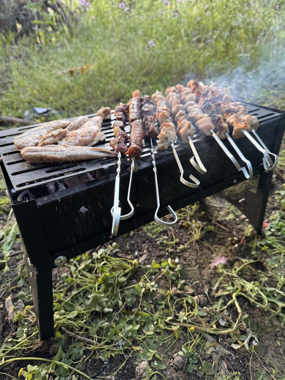 شواية القابلة للطي