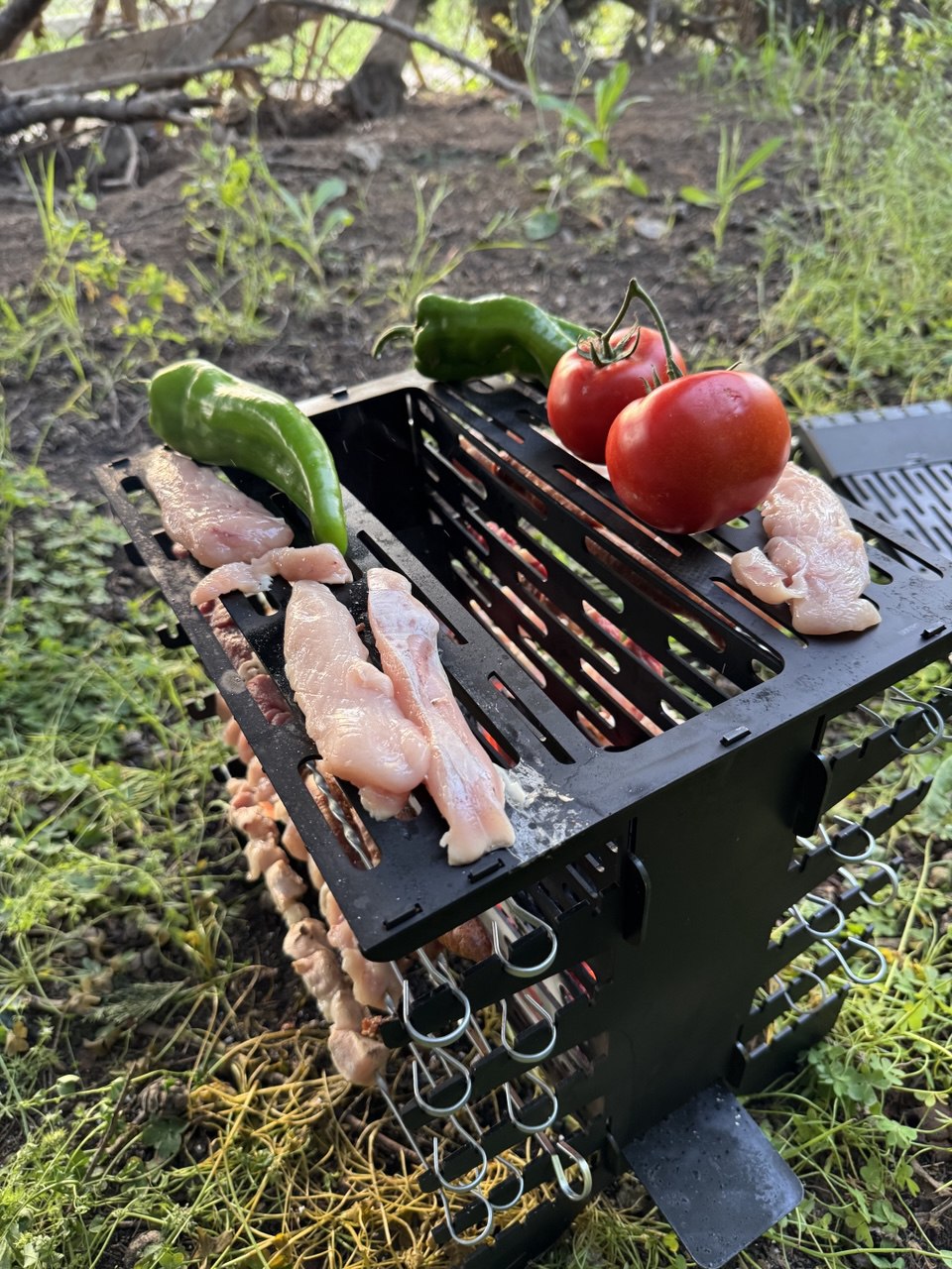 الشواية القابلة للطي +معاها صاك